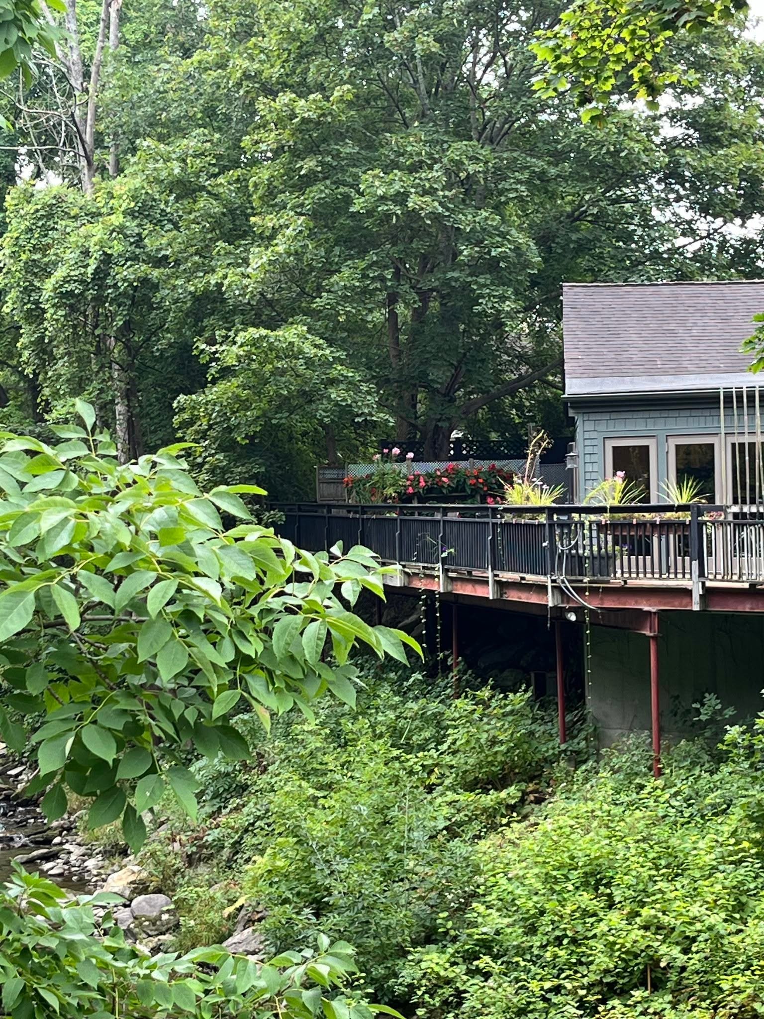 InTouch's riverside building and flower-lined deck among the trees